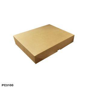 PC3100