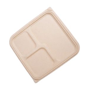 WhatsApp-Image-2026-01-13-at-10.23.06